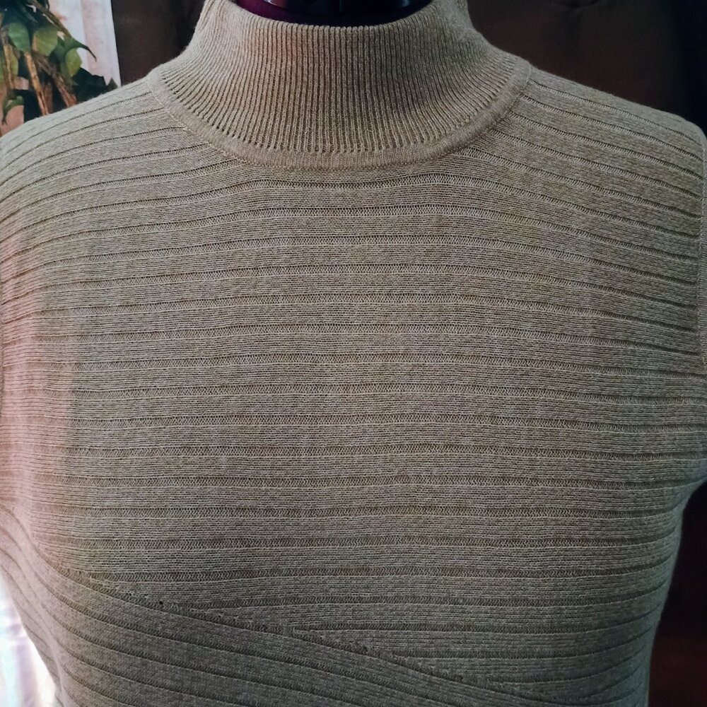 EUC: Dana Buchman Sze. XL Tan Textured Sleeveless Mock Neck Top - Picture 4 of 5